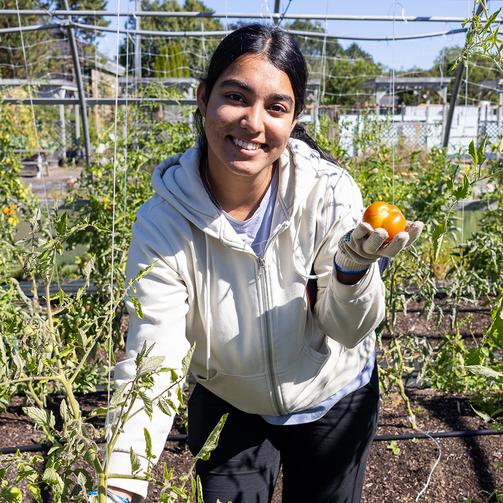 A female student stands in a garden holding a fresh tomato