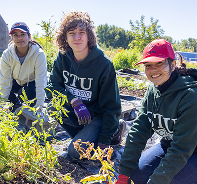 Image for STUdents Strengthen Community Connections Through STU Cares Day of Action