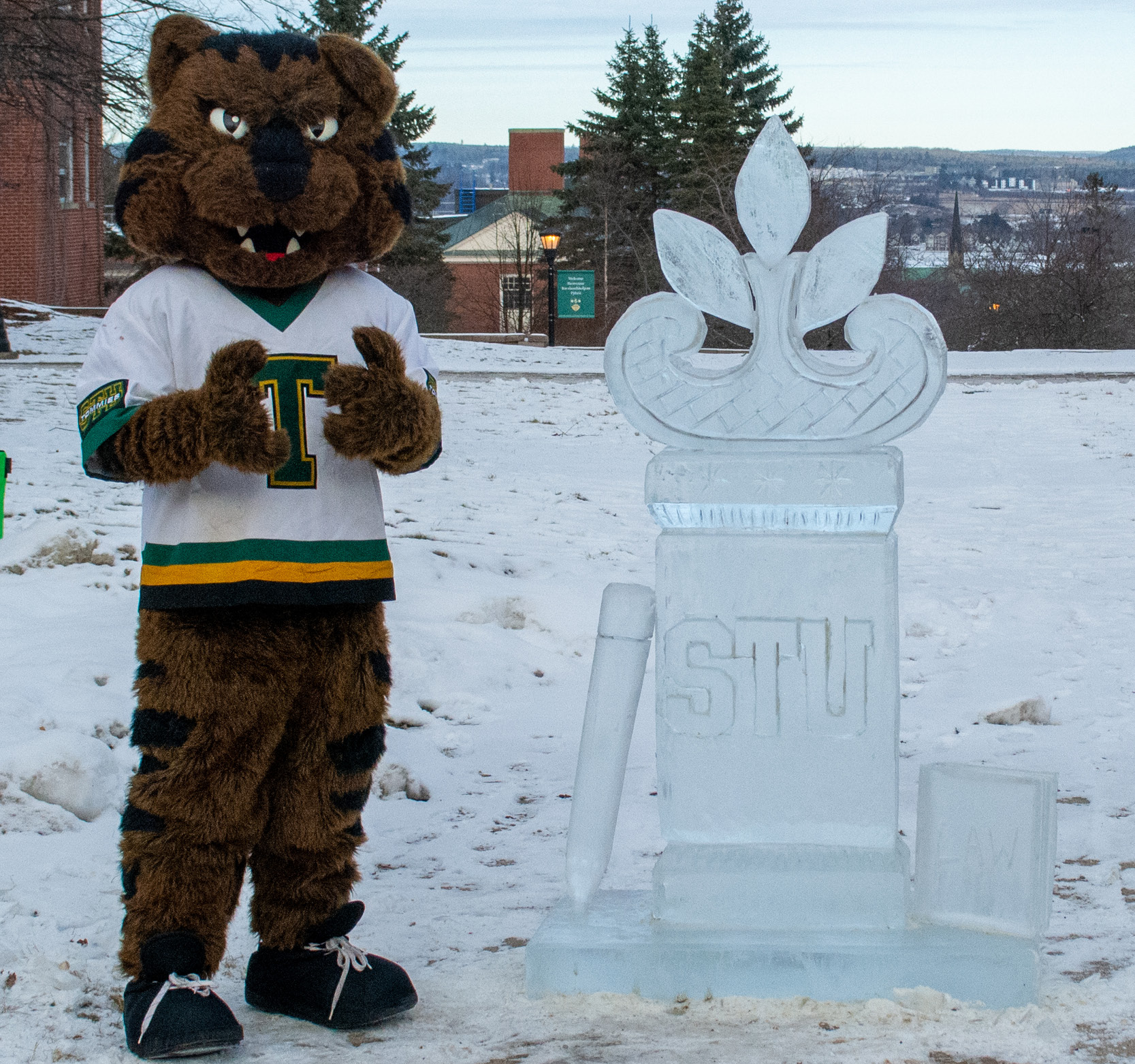 Tommy the Tom Cat next to an Ice Sculpture
